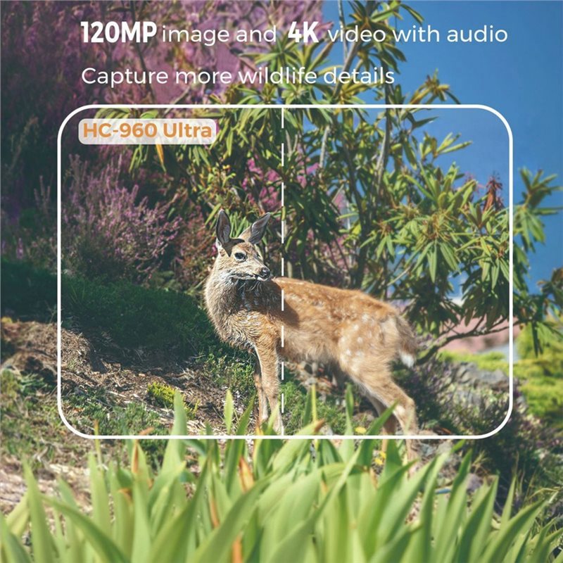 Cámara de Caza A99E-Outdoor 4G - Hunting And Outdoor Shows reseña y precio
